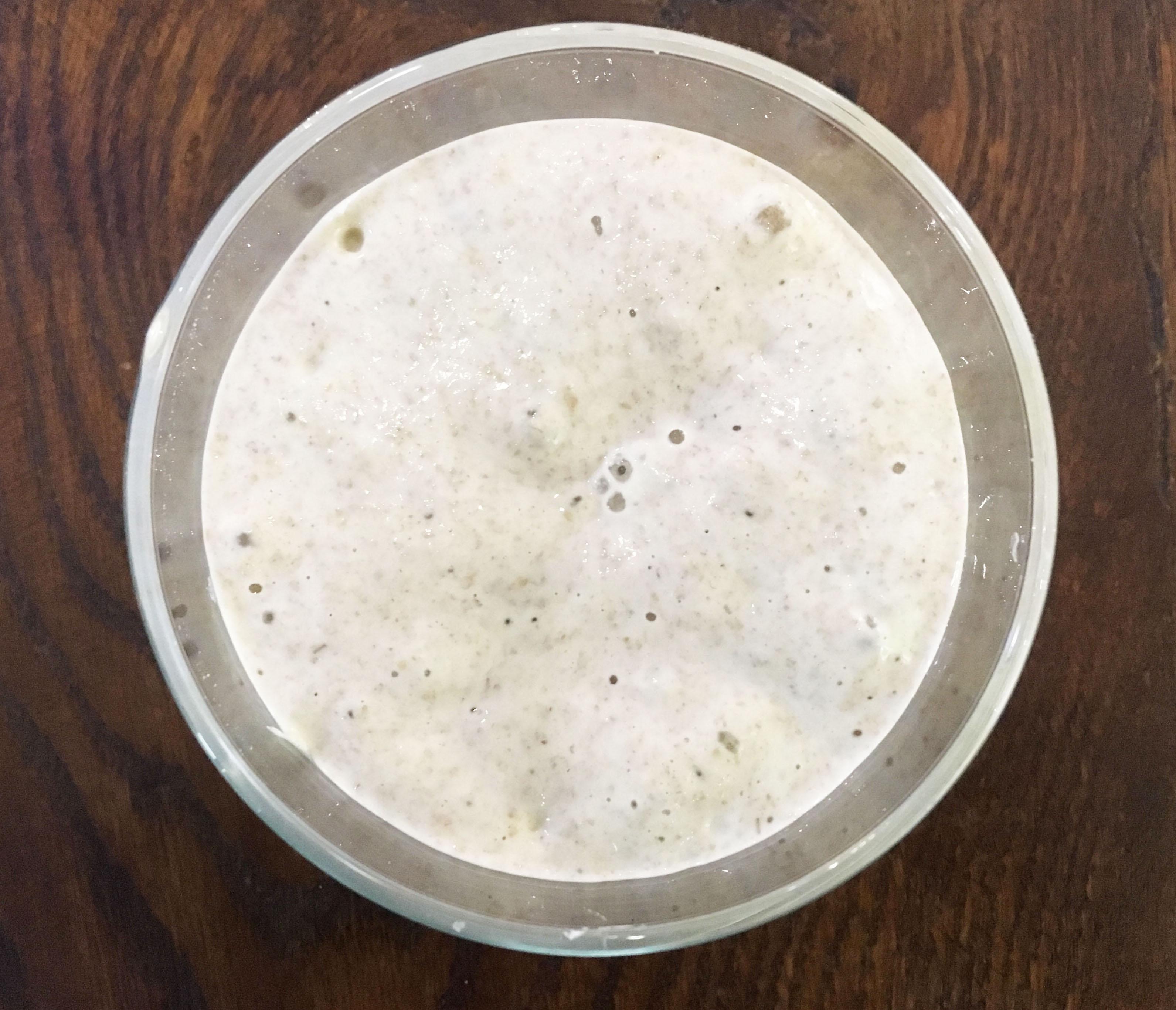 levain cinquieme jour
