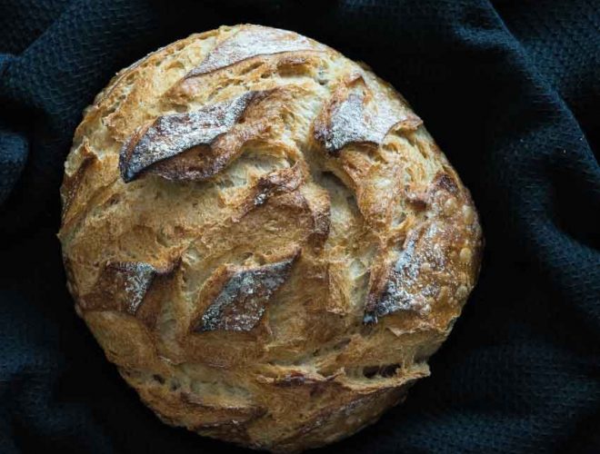 boule tradibio